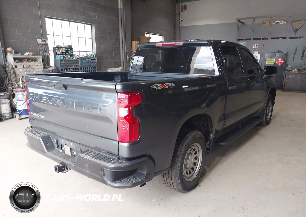 2020 Chevrolet Silverado 1500 4Wd Short Bed Wt VIN:3GCUYAEF4LG336845 - 4