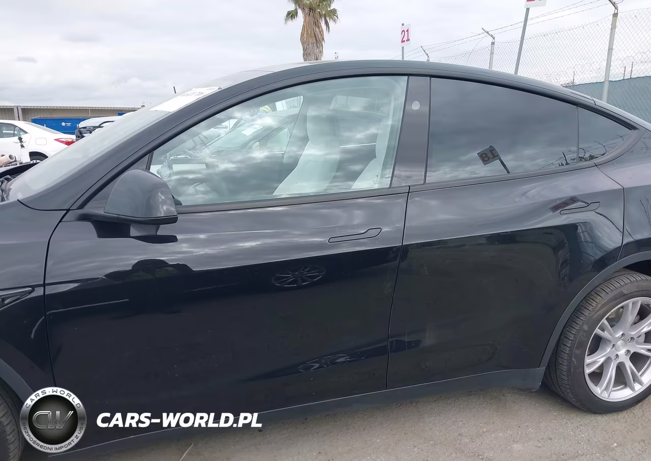 2024 Tesla Model Y VIN:7SAYGDEEXRA236129 - 14