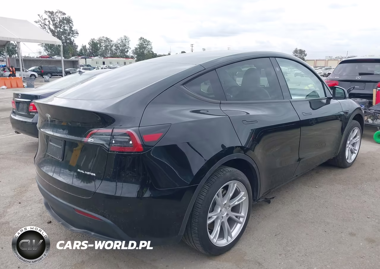 2024 Tesla Model Y VIN:7SAYGDEEXRA236129 - 4