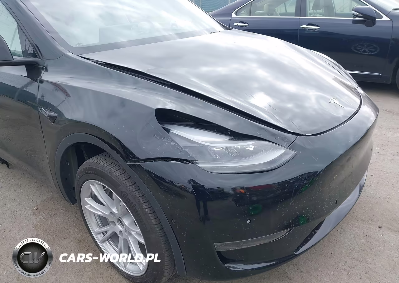 2024 Tesla Model Y VIN:7SAYGDEEXRA236129 - 6