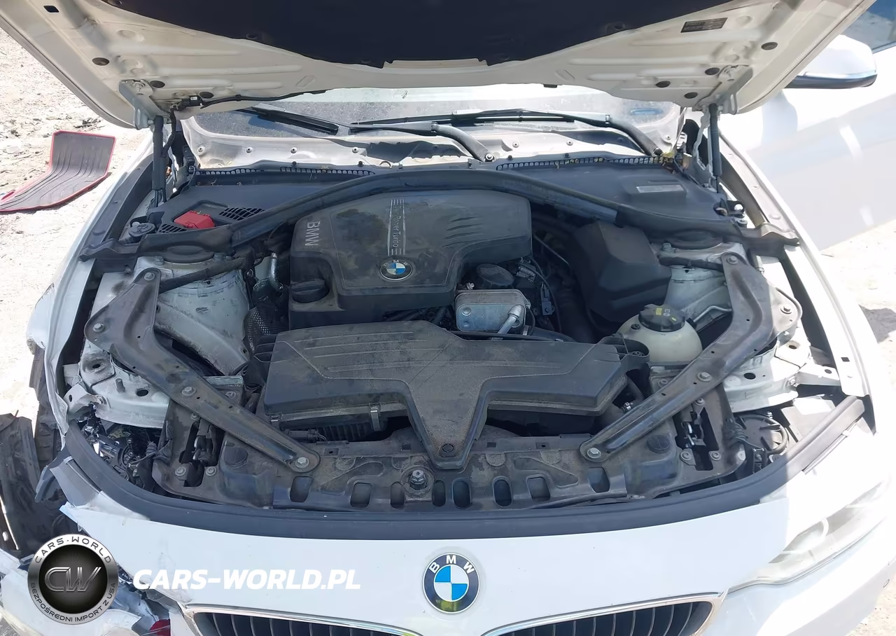 2014 BMW 428I xDrive VIN:WBA3T1C56EPS98809 - 10