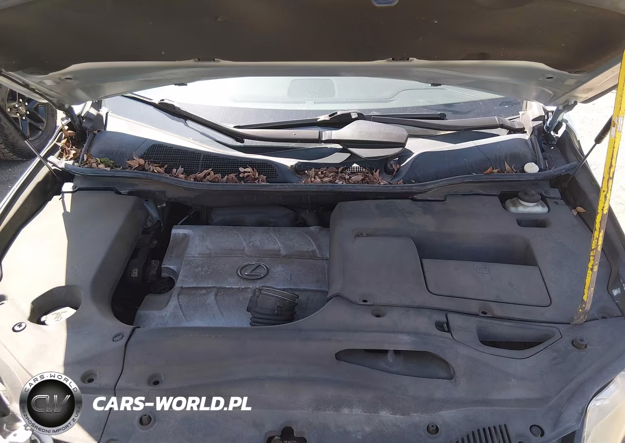 2010 Lexus Rx 350 VIN:2T2ZK1BA4AC041117 - 10