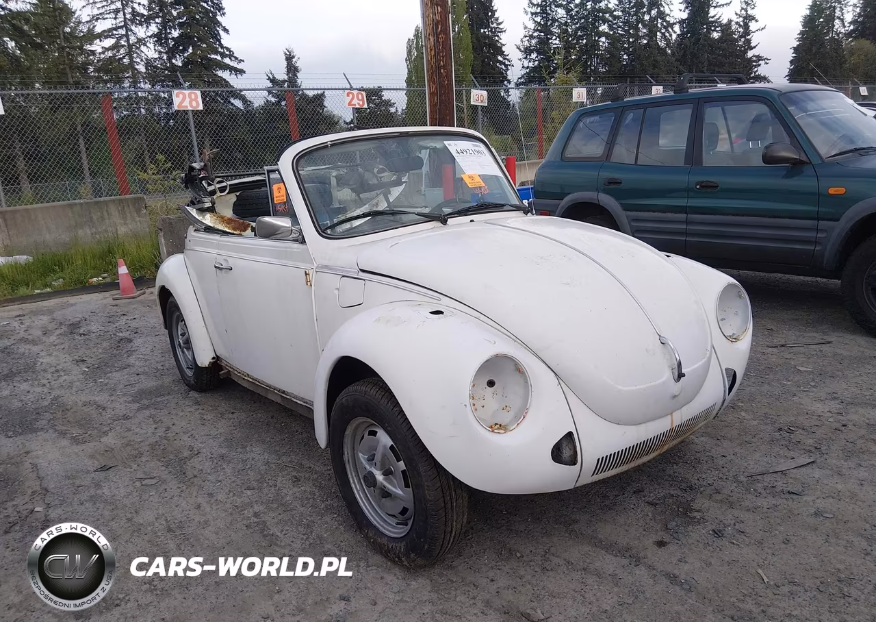 1979 Volkswagen Beetle