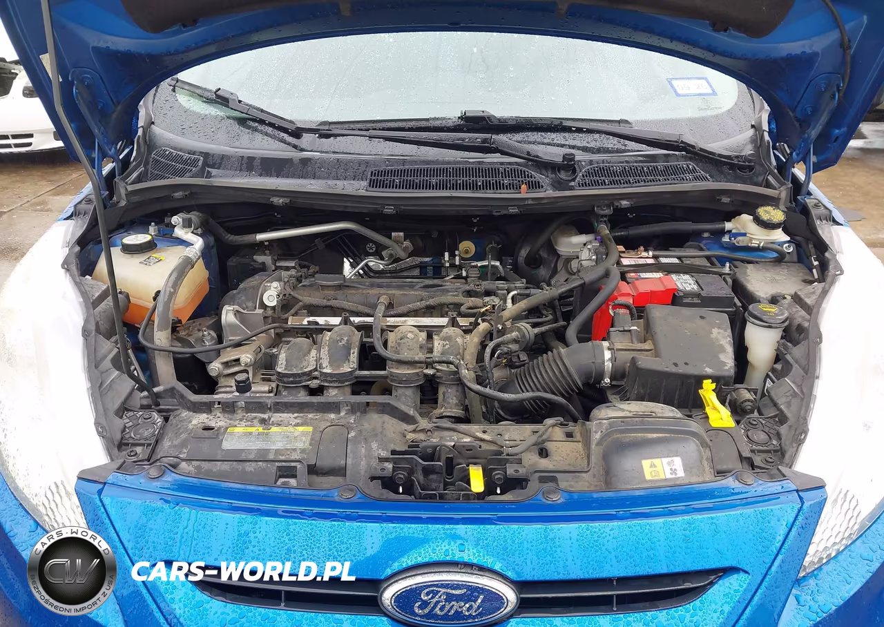2011 Ford Fiesta Se VIN:3FADP4EJ4BM135221 - 10