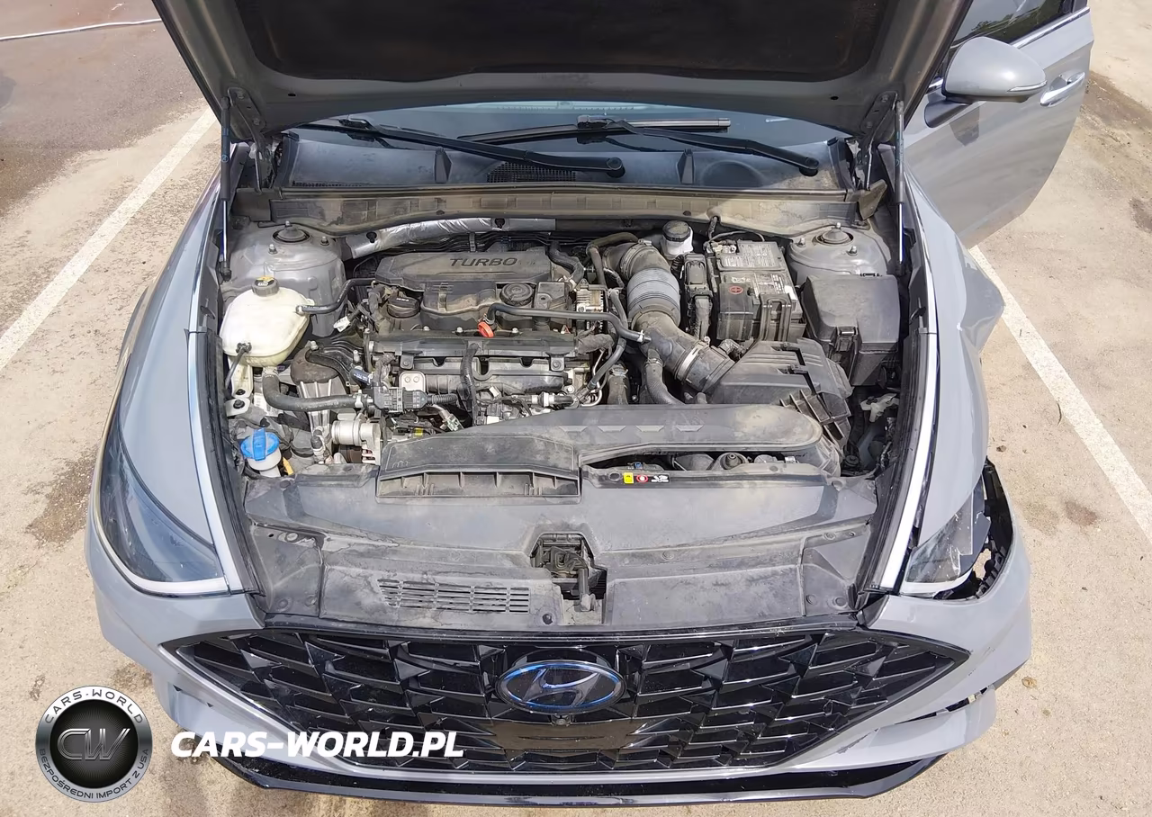 2020 Hyundai Sonata Limited VIN:5NPEH4J24LH060909 - 10