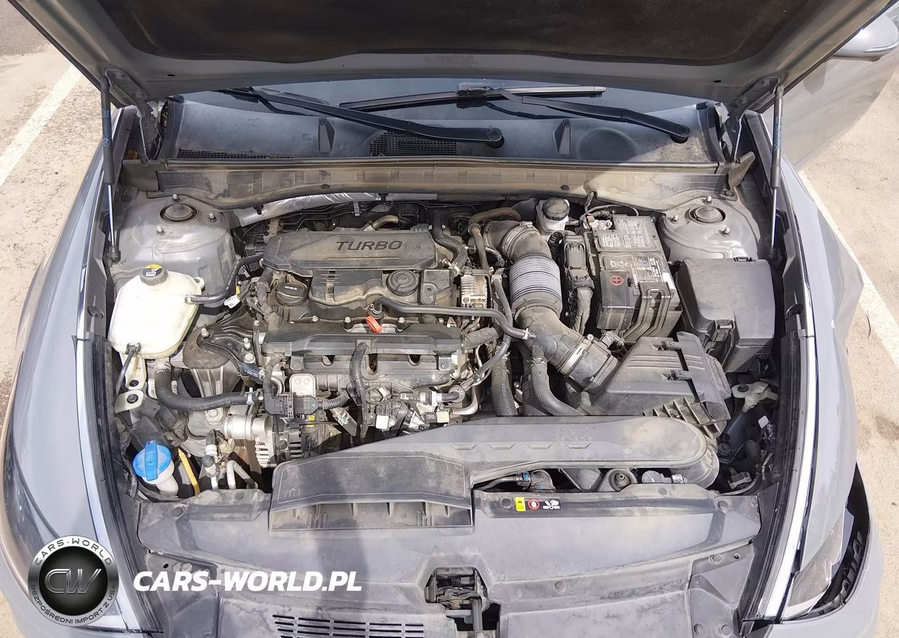 2020 Hyundai Sonata Limited VIN:5NPEH4J24LH060909 - 17