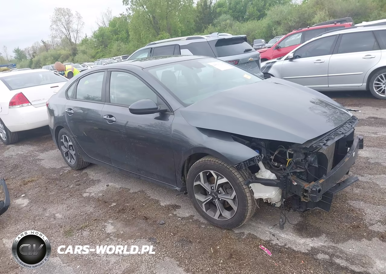 2019 Kia Forte Lxs – zdjęcie 1 z 17