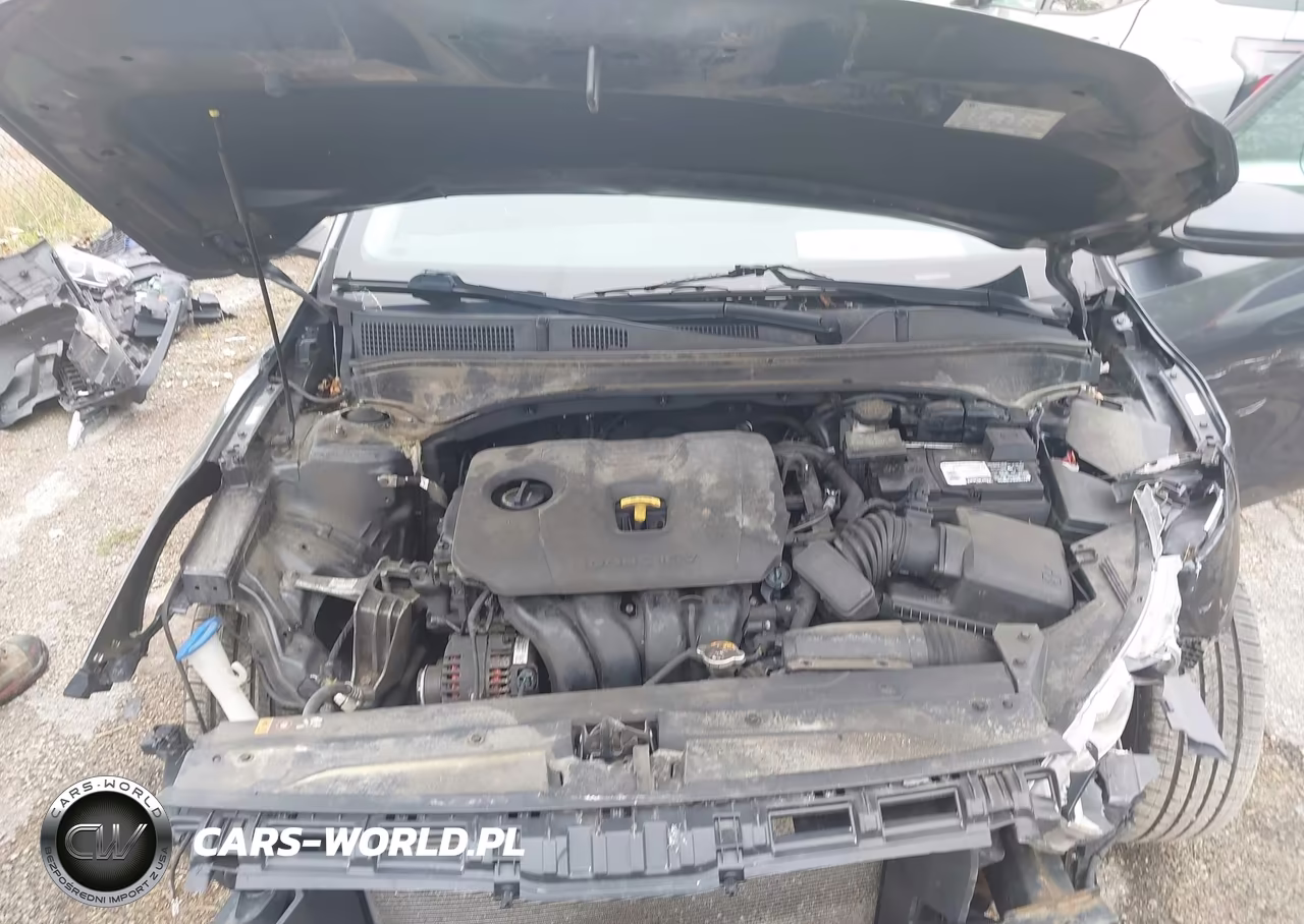 2019 Kia Forte Lxs VIN:3KPF24AD6KE112339 - 10