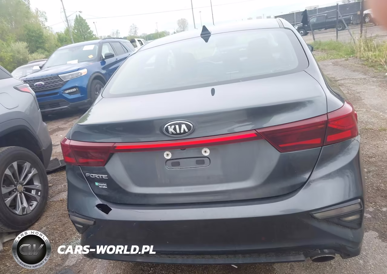2019 Kia Forte Lxs VIN:3KPF24AD6KE112339 - 17