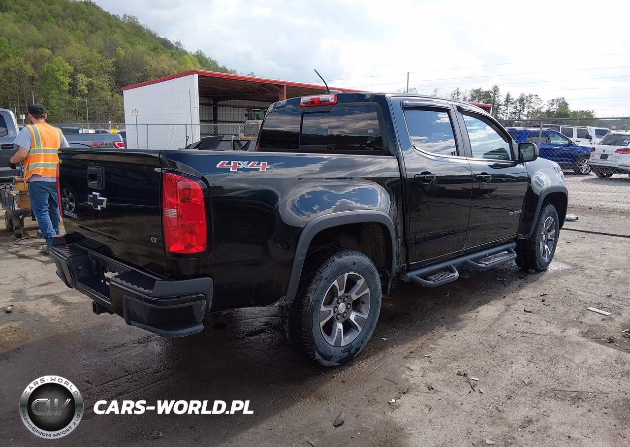 2016 Chevrolet Colorado Lt VIN:1GCGTCE31G1130416 - 4