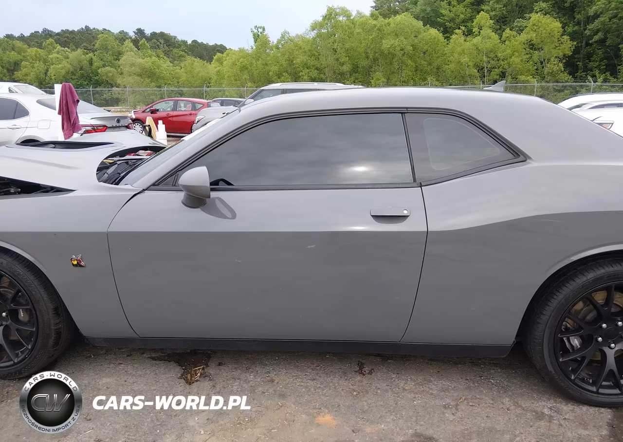 2019 Dodge Challenger R-T Scat Pack VIN:2C3CDZFJ9KH574119 - 15