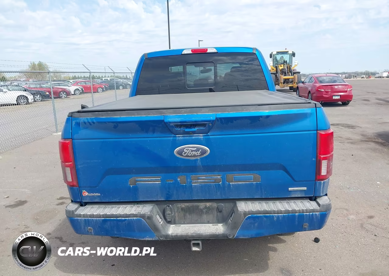 2020 Ford F-150 Lariat VIN:1FTEW1E49LFB57081 - 17