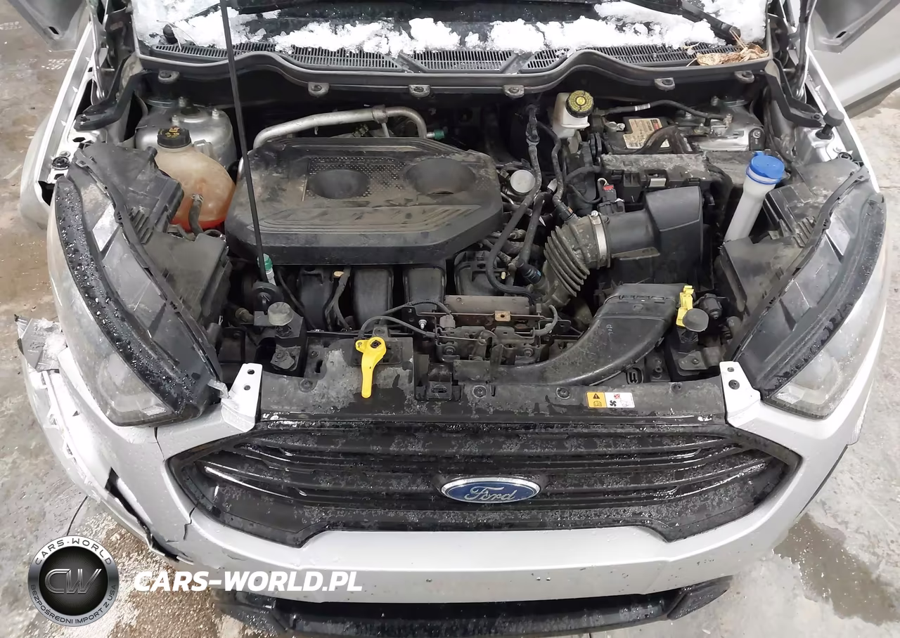 2020 Ford Ecosport Ses VIN:MAJ6S3JL8LC334767 - 10