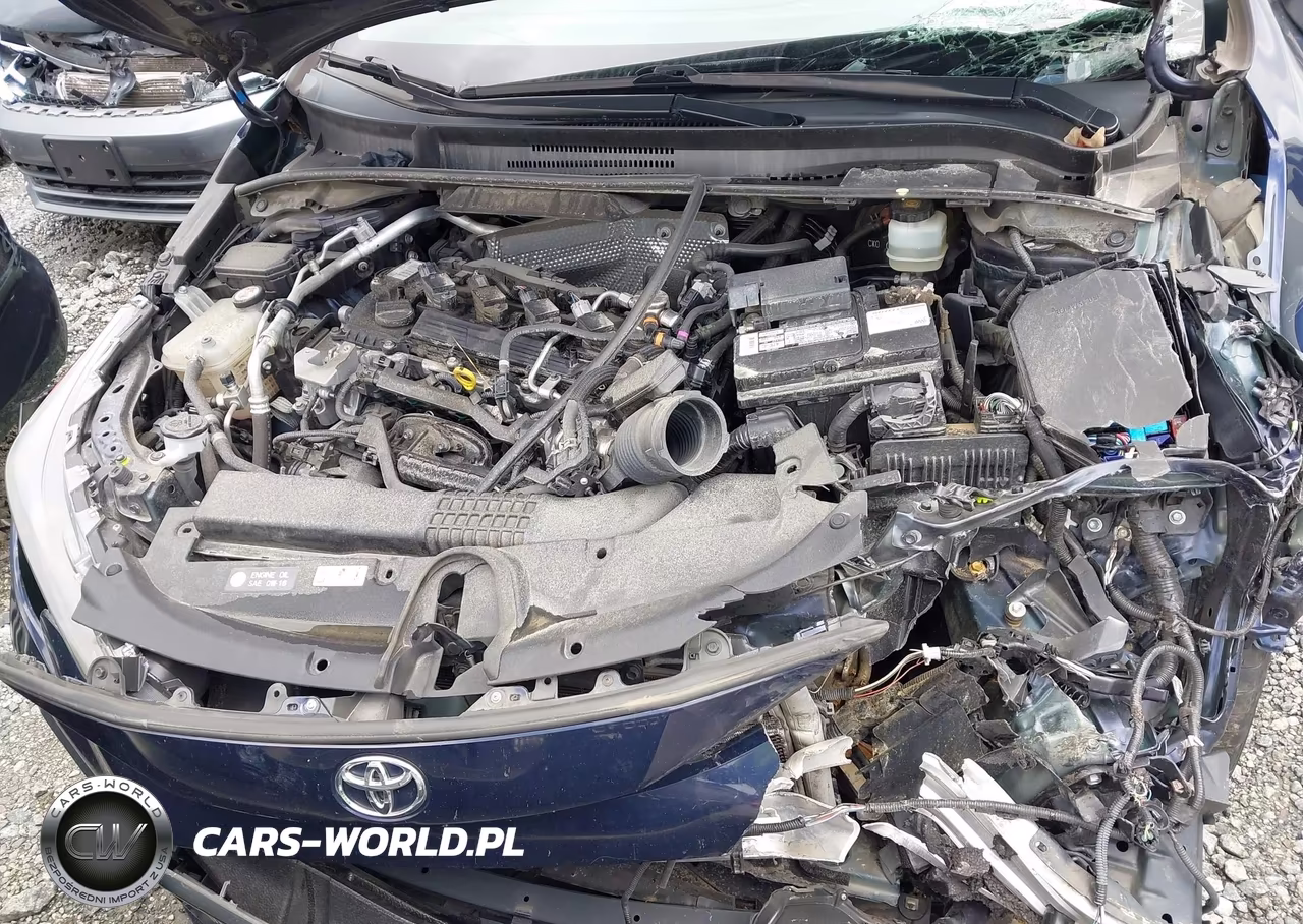 2020 Toyota Corolla Se VIN:JTDS4RCE0LJ028257 - 10