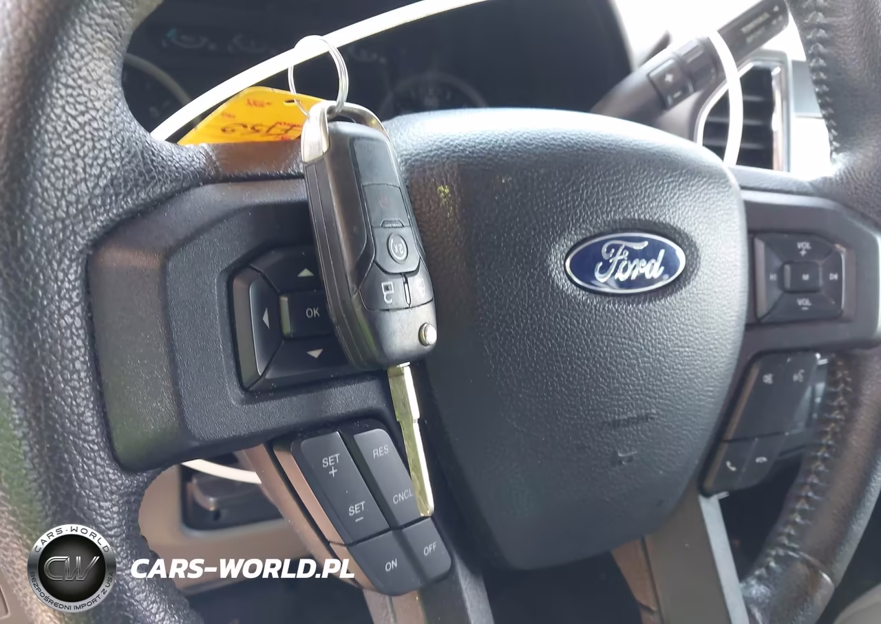 2015 Ford F-150 Xlt VIN:1FTEW1EF9FKD95025 - 11
