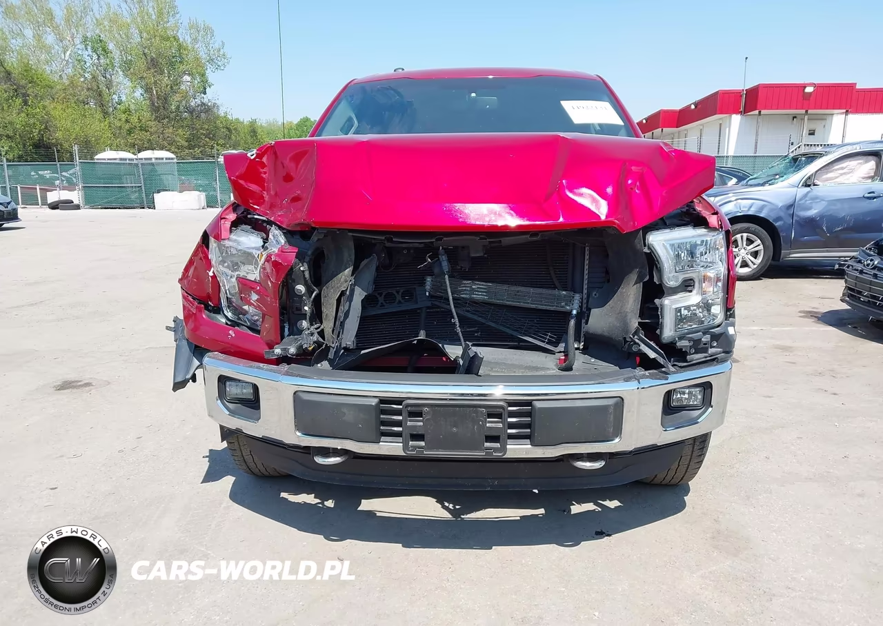 2015 Ford F-150 Xlt VIN:1FTEW1EF9FKD95025 - 13