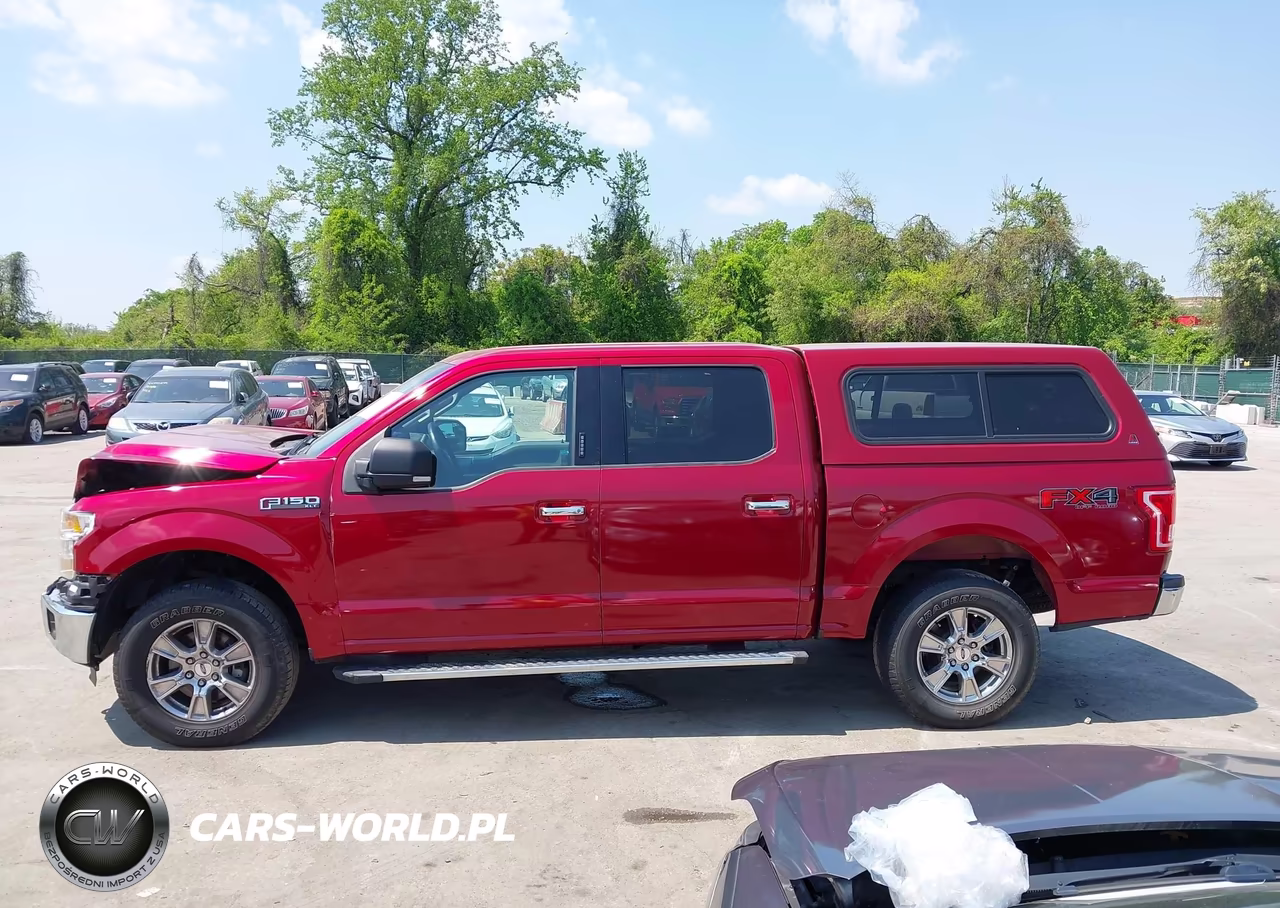 2015 Ford F-150 Xlt VIN:1FTEW1EF9FKD95025 - 15