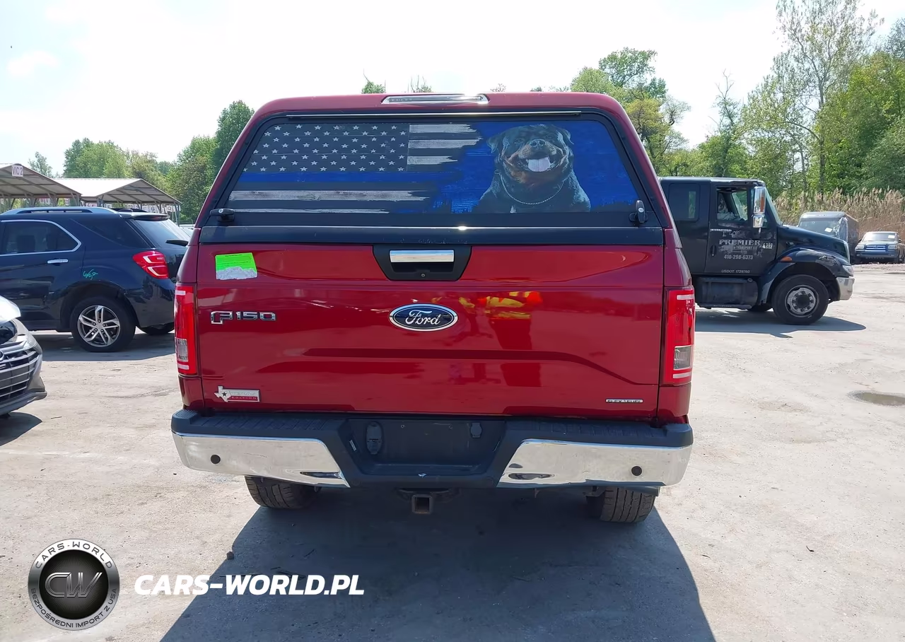 2015 Ford F-150 Xlt VIN:1FTEW1EF9FKD95025 - 17