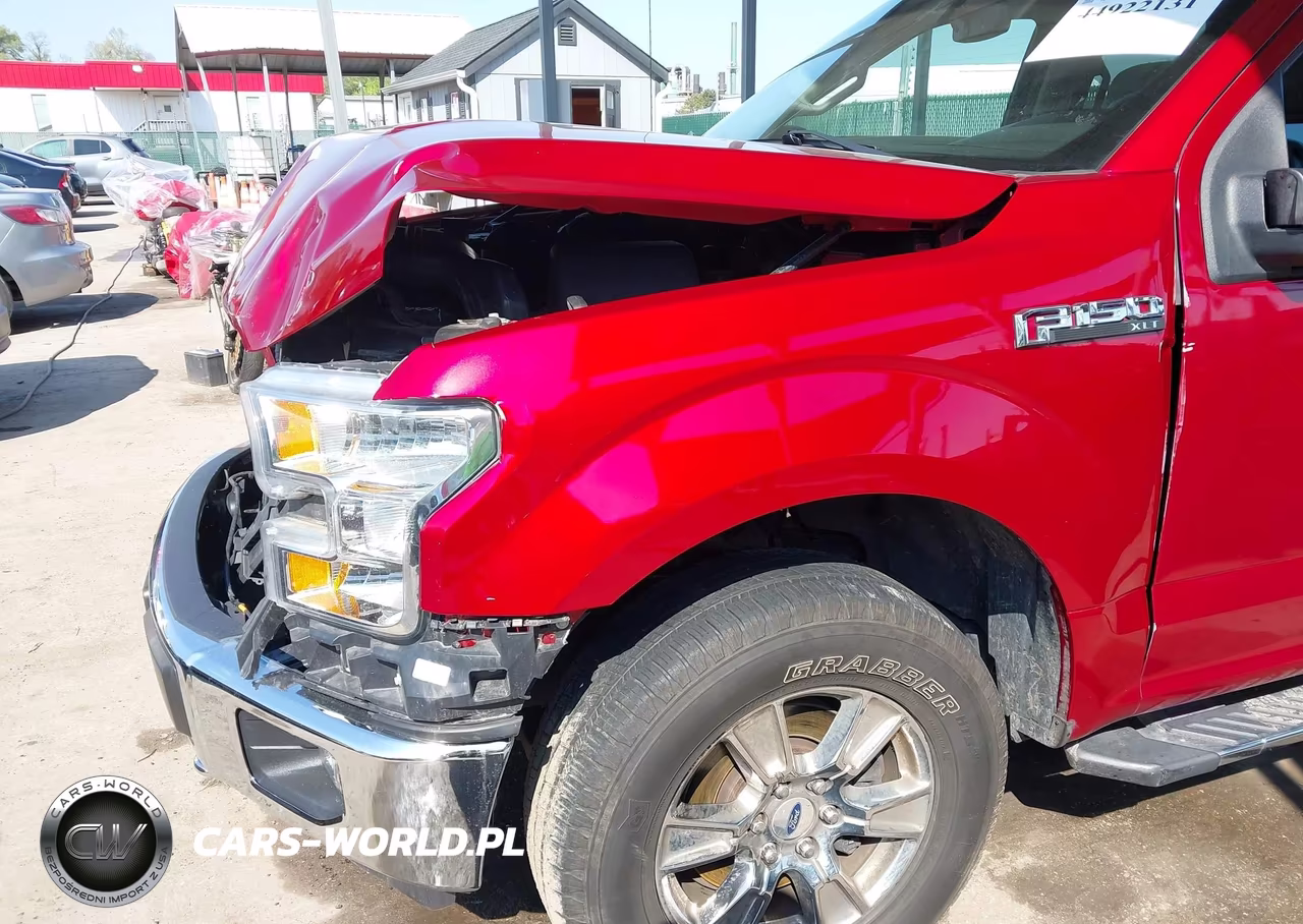 2015 Ford F-150 Xlt VIN:1FTEW1EF9FKD95025 - 19