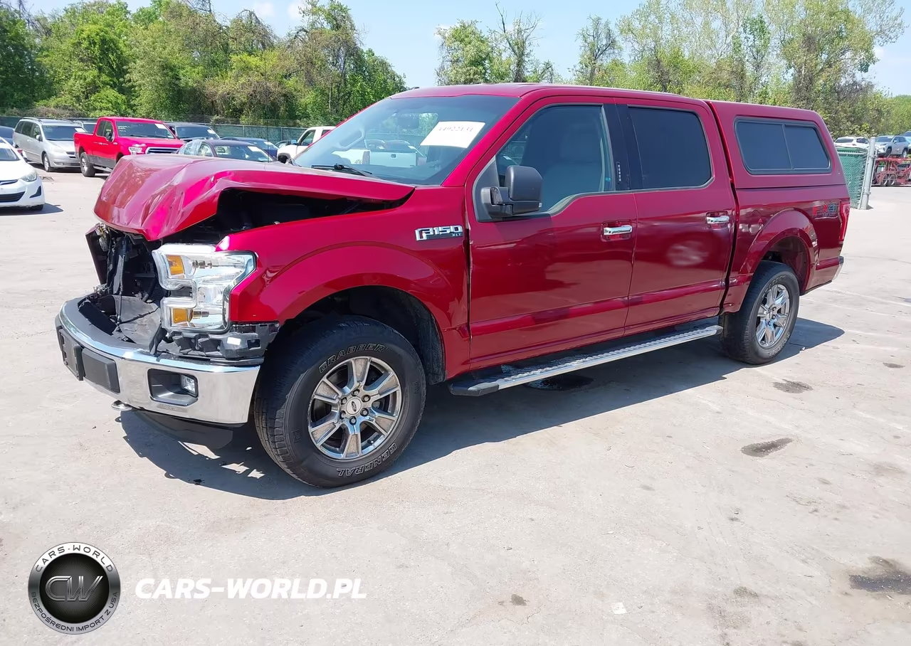 2015 Ford F-150 Xlt VIN:1FTEW1EF9FKD95025 - 2