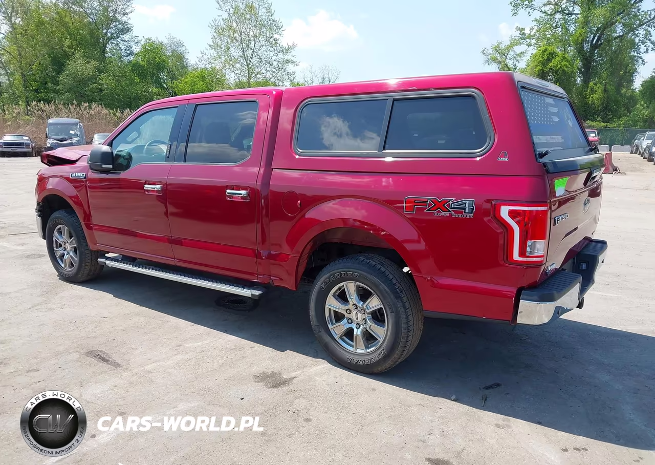 2015 Ford F-150 Xlt VIN:1FTEW1EF9FKD95025 - 3