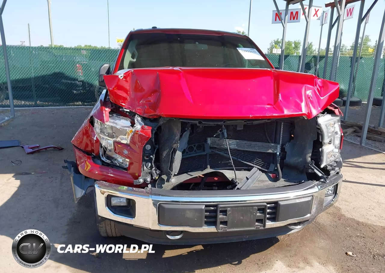 2015 Ford F-150 Xlt VIN:1FTEW1EF9FKD95025 - 6