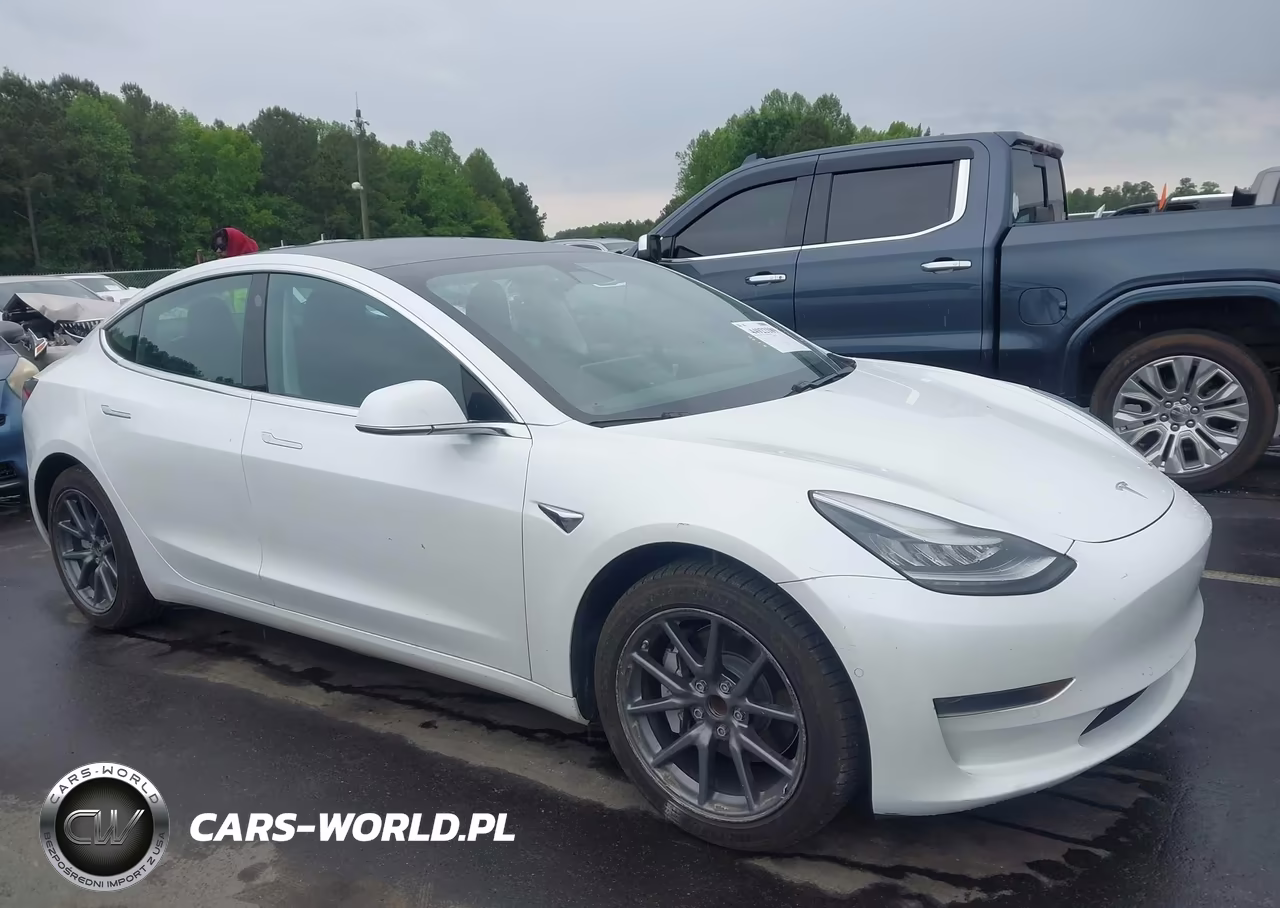 2020 Tesla Model 3 Standard Range Plus Rear-Wheel Drive-Standard Range Rear-Wheel Drive