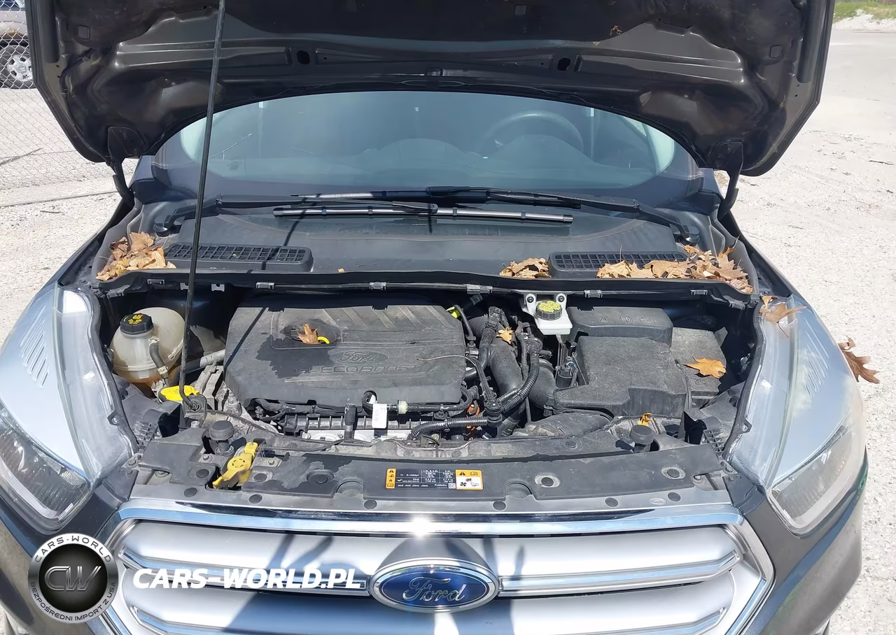 2017 Ford Escape Se VIN:1FMCU0GD4HUF03184 - 10