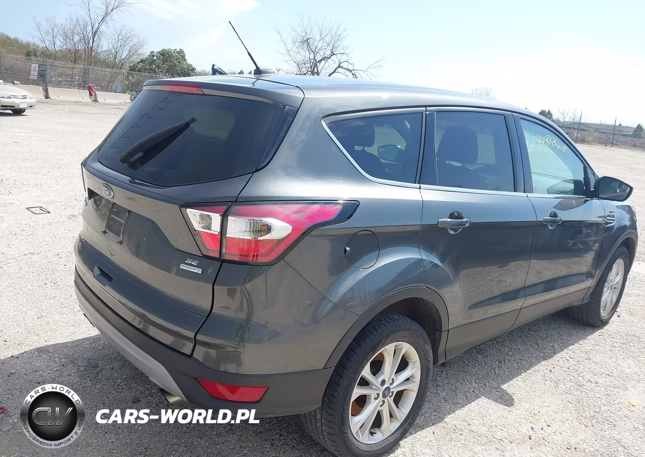 2017 Ford Escape Se VIN:1FMCU0GD4HUF03184 - 4
