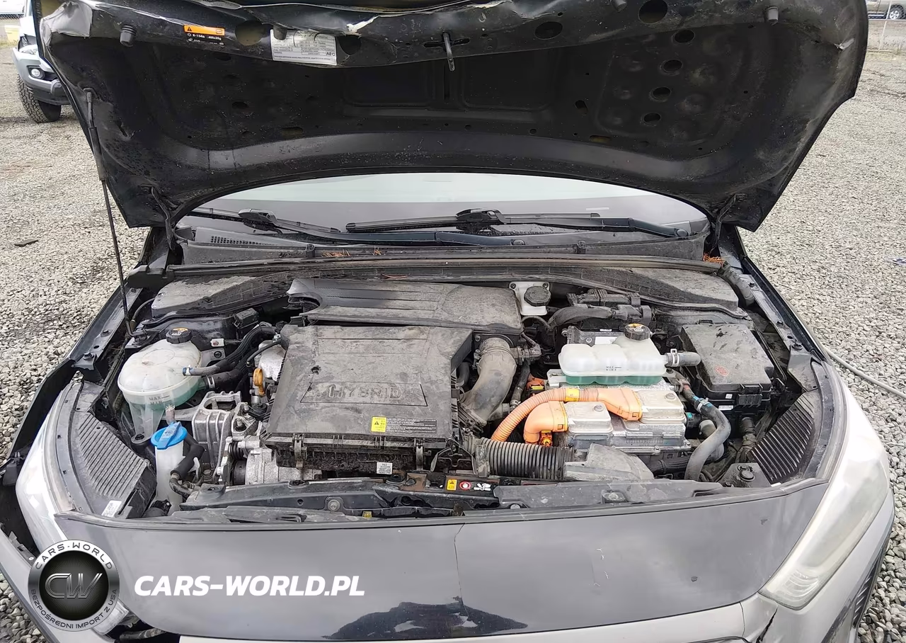 2019 Hyundai Ioniq Hybrid Blue VIN:KMHC65LC3KU167457 - 10
