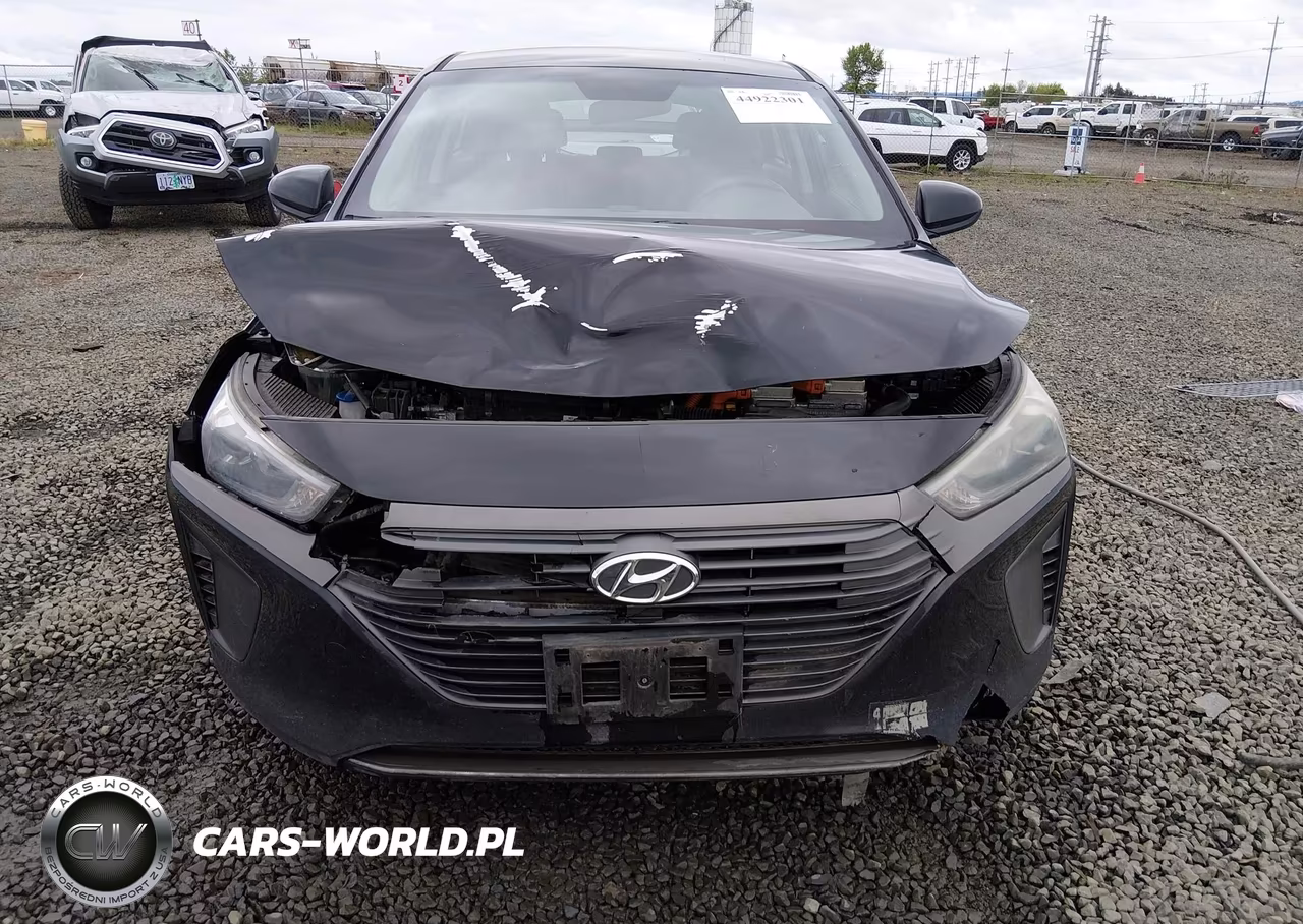 2019 Hyundai Ioniq Hybrid Blue VIN:KMHC65LC3KU167457 - 12