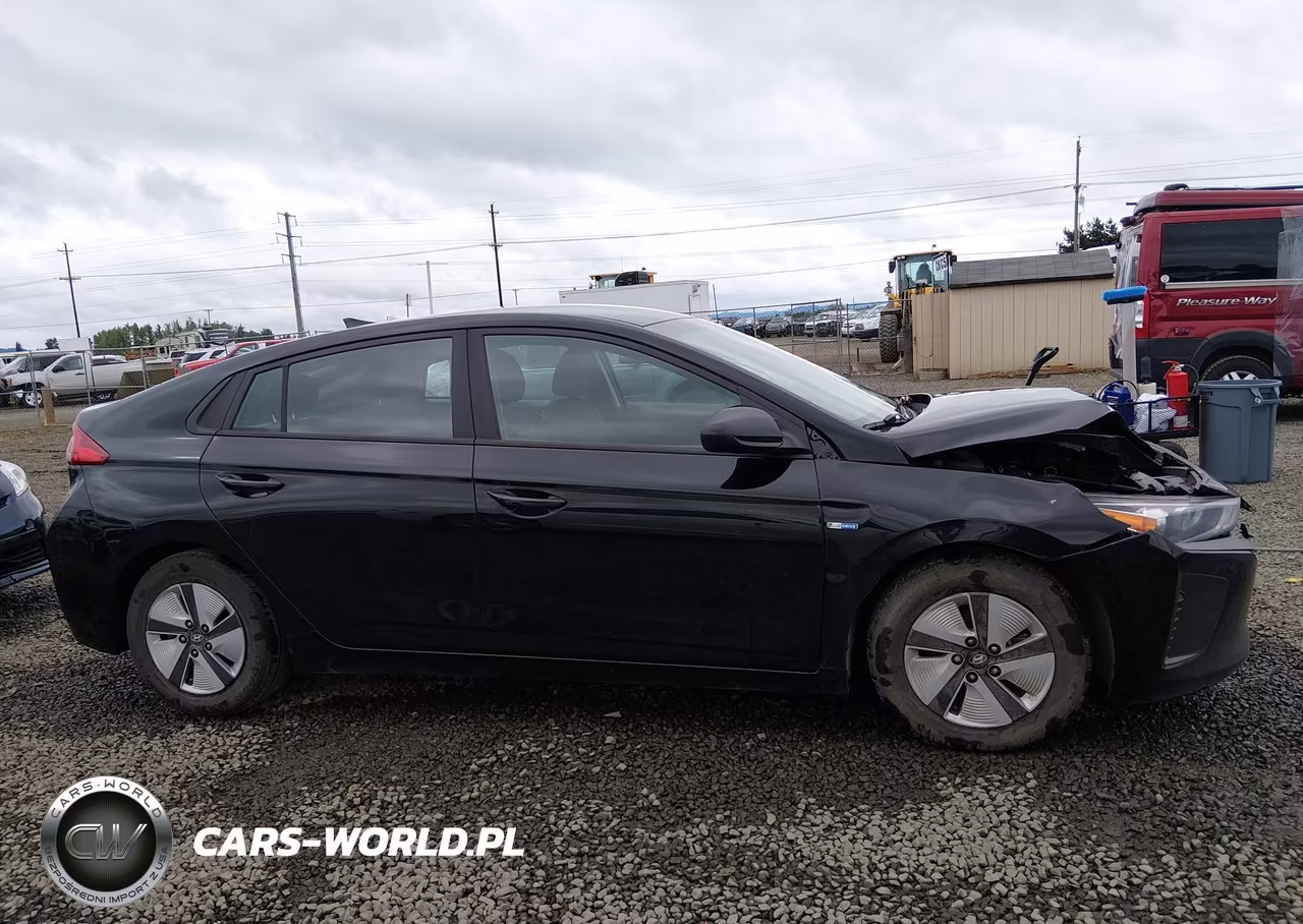 2019 Hyundai Ioniq Hybrid Blue VIN:KMHC65LC3KU167457 - 13
