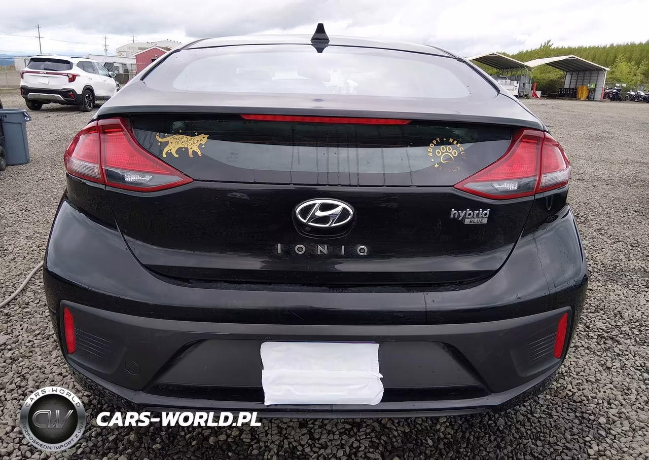 2019 Hyundai Ioniq Hybrid Blue VIN:KMHC65LC3KU167457 - 16