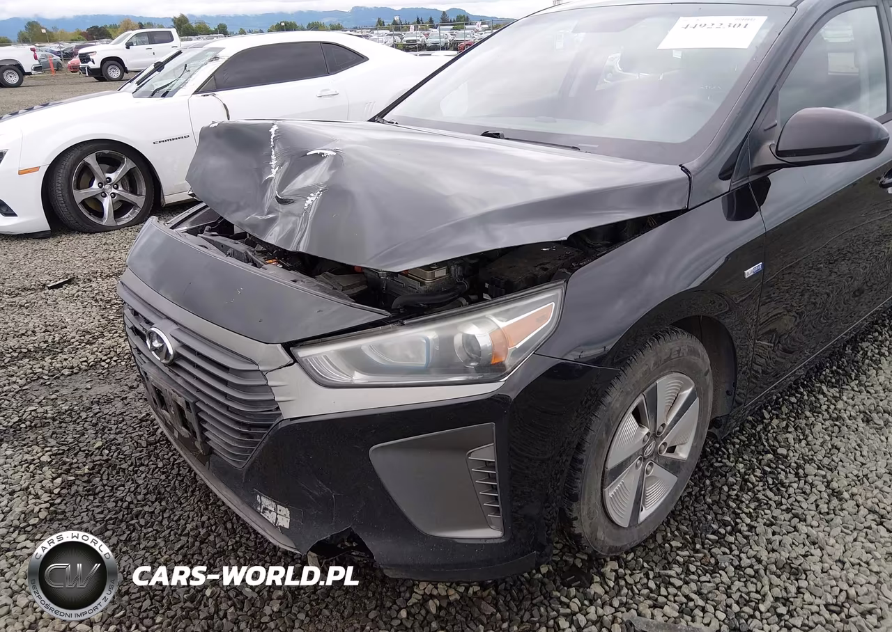 2019 Hyundai Ioniq Hybrid Blue VIN:KMHC65LC3KU167457 - 17