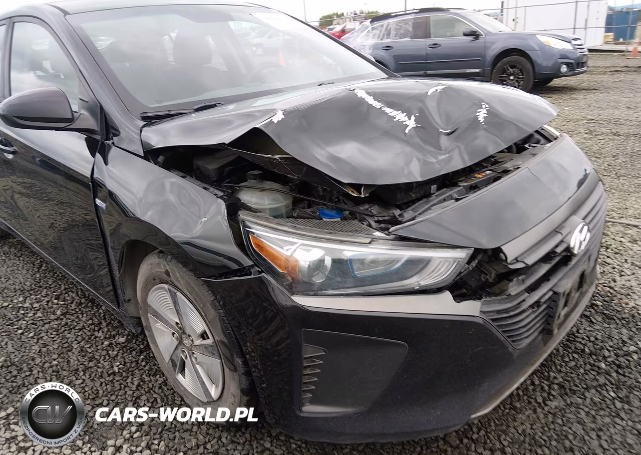 2019 Hyundai Ioniq Hybrid Blue VIN:KMHC65LC3KU167457 - 18