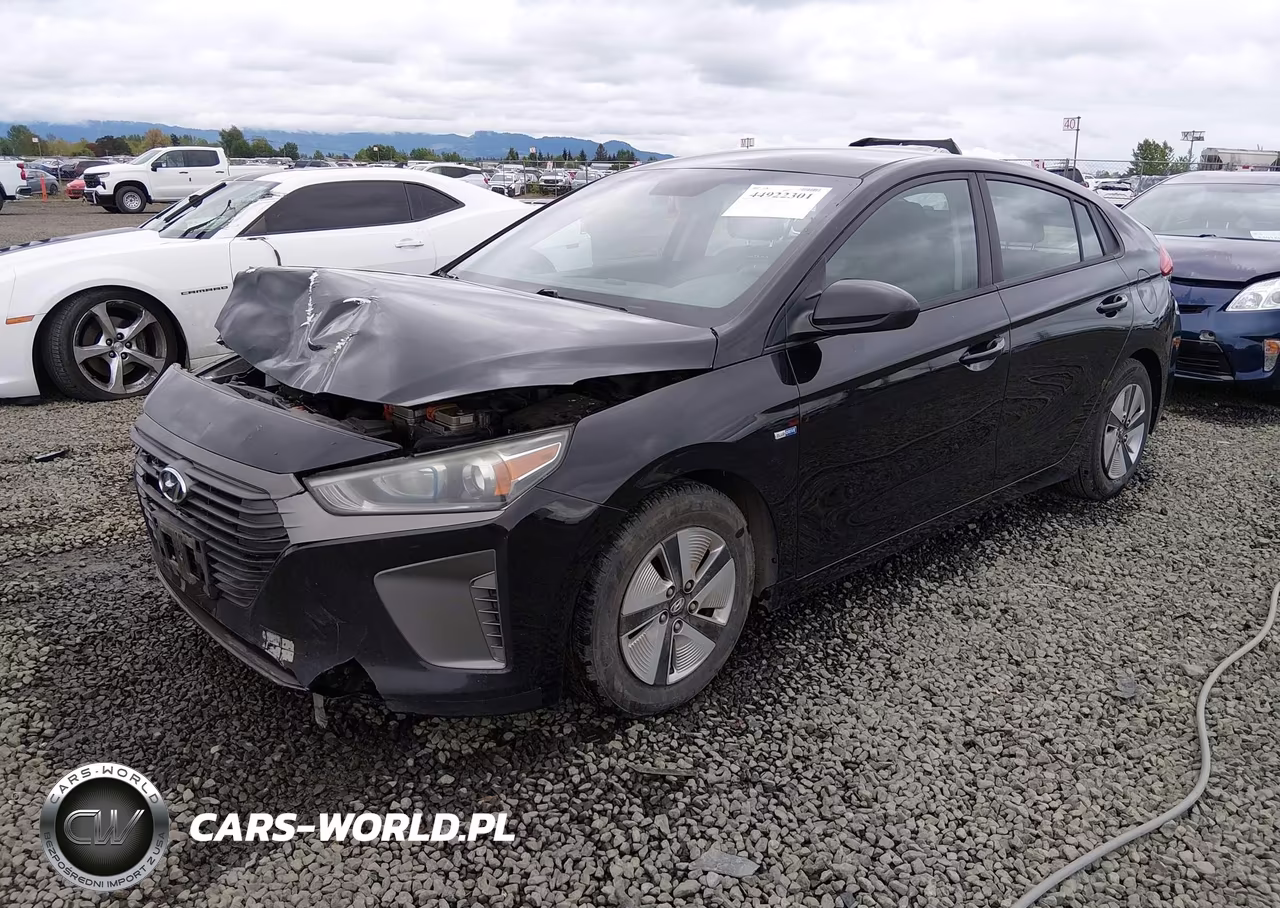2019 Hyundai Ioniq Hybrid Blue VIN:KMHC65LC3KU167457 - 2