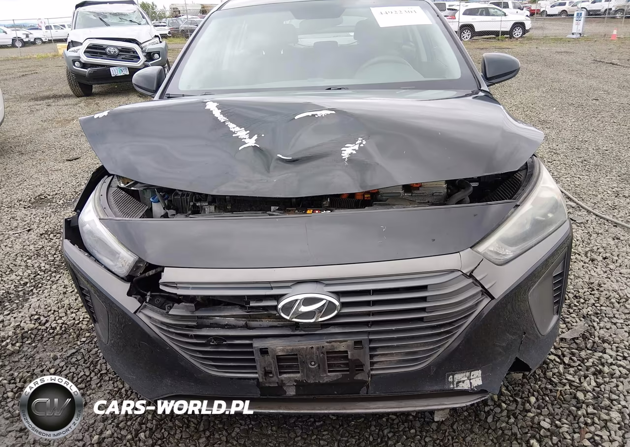 2019 Hyundai Ioniq Hybrid Blue VIN:KMHC65LC3KU167457 - 6