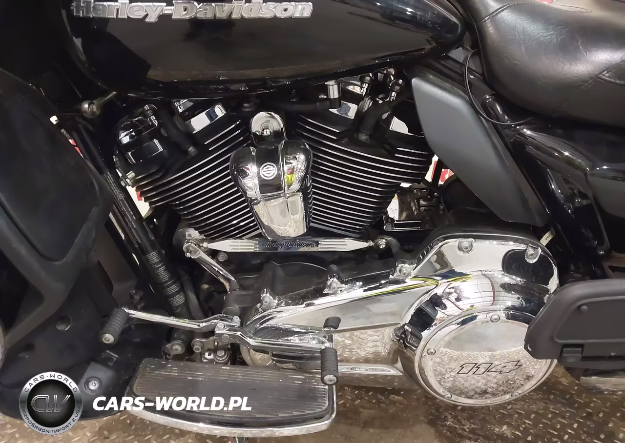2021 Harley-Davidson Fltrk VIN:1HD1KZF14MB665222 - 9