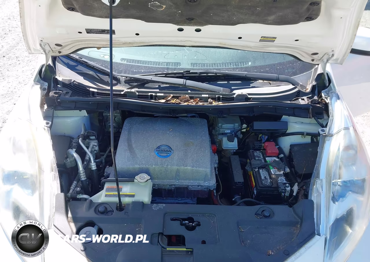 2013 Nissan Leaf Sl VIN:1N4AZ0CP7DC405043 - 10