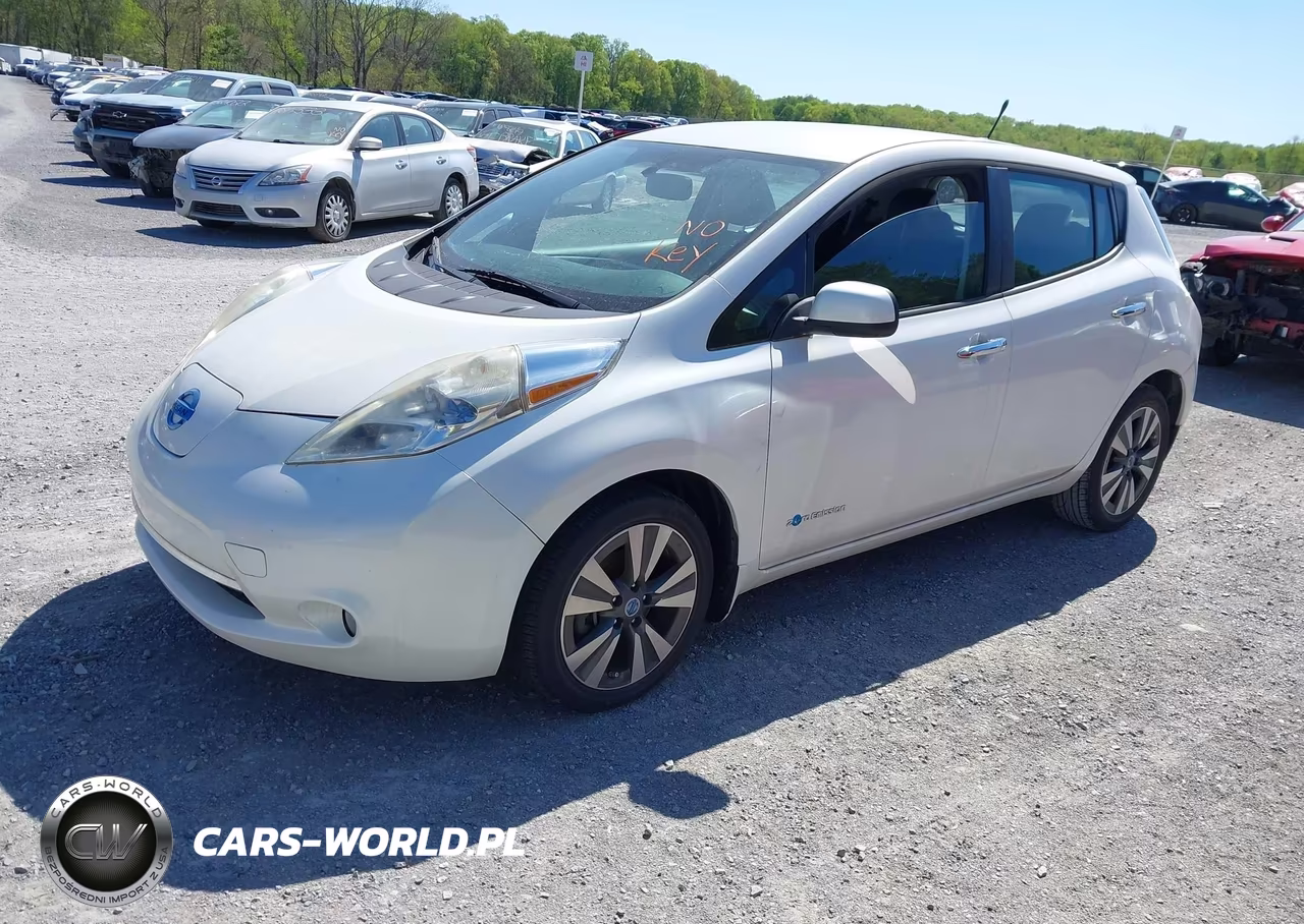 2013 Nissan Leaf Sl VIN:1N4AZ0CP7DC405043 - 2