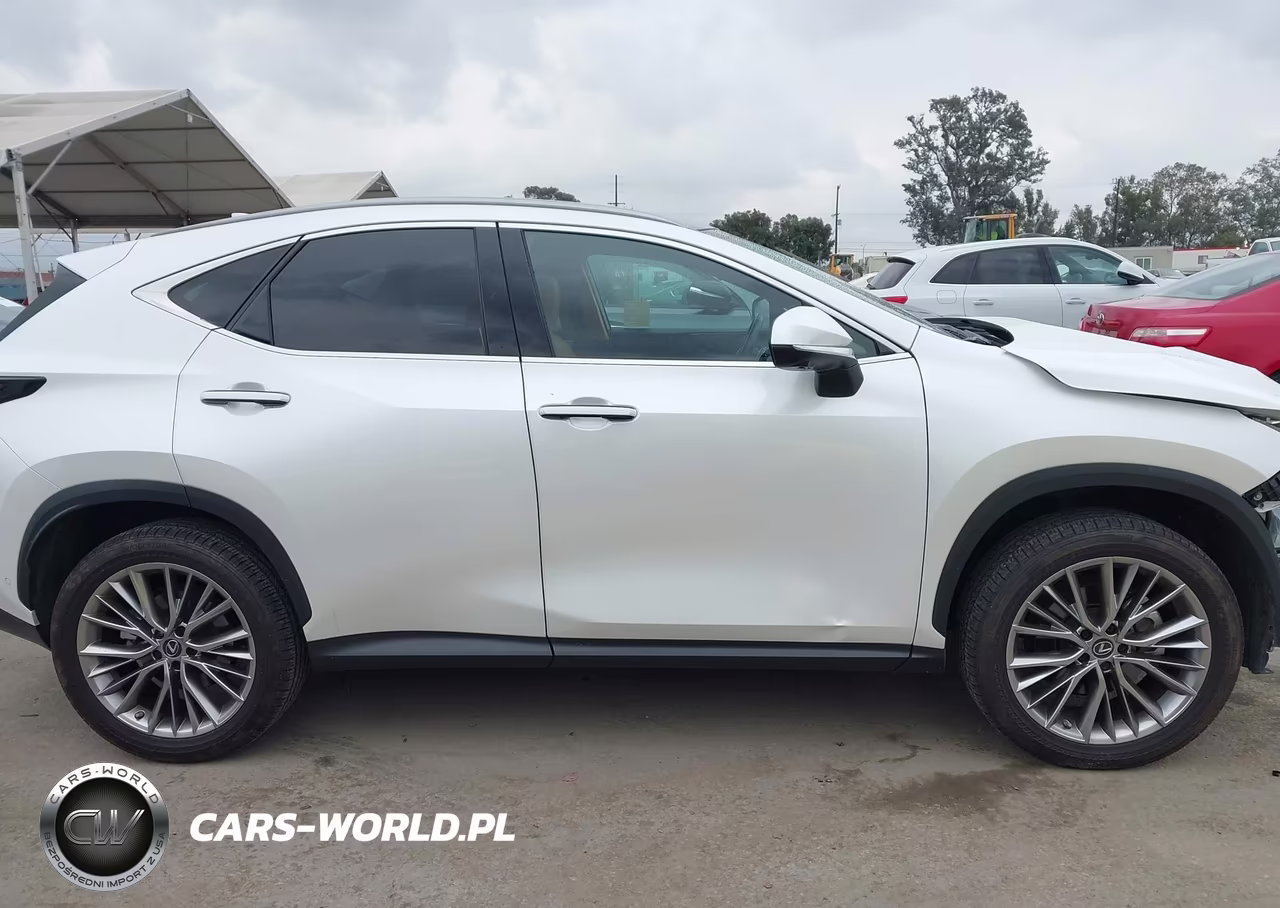 2023 Lexus Nx 350H Luxury VIN:JTJHKCEZ3P2013472 - 13
