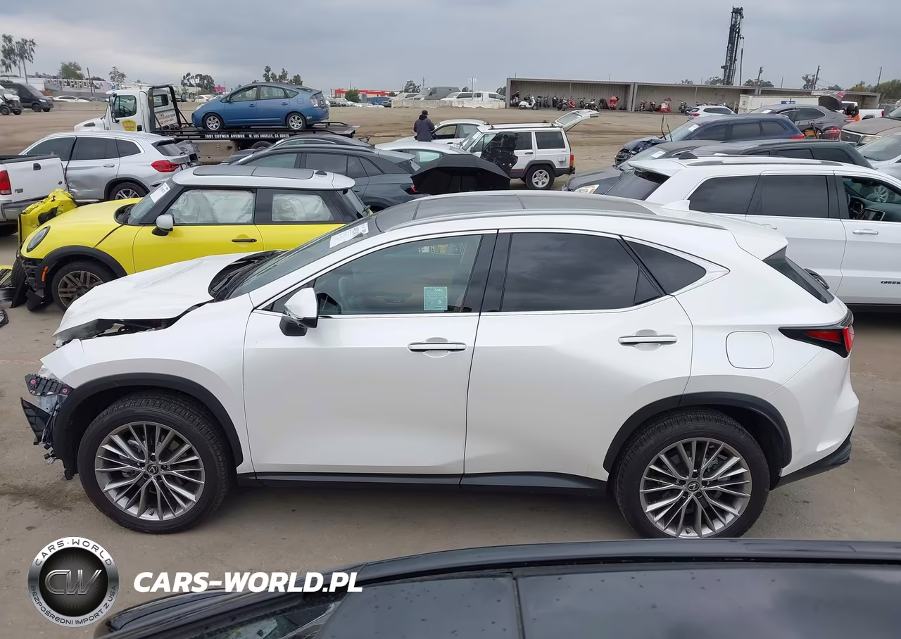 2023 Lexus Nx 350H Luxury VIN:JTJHKCEZ3P2013472 - 14