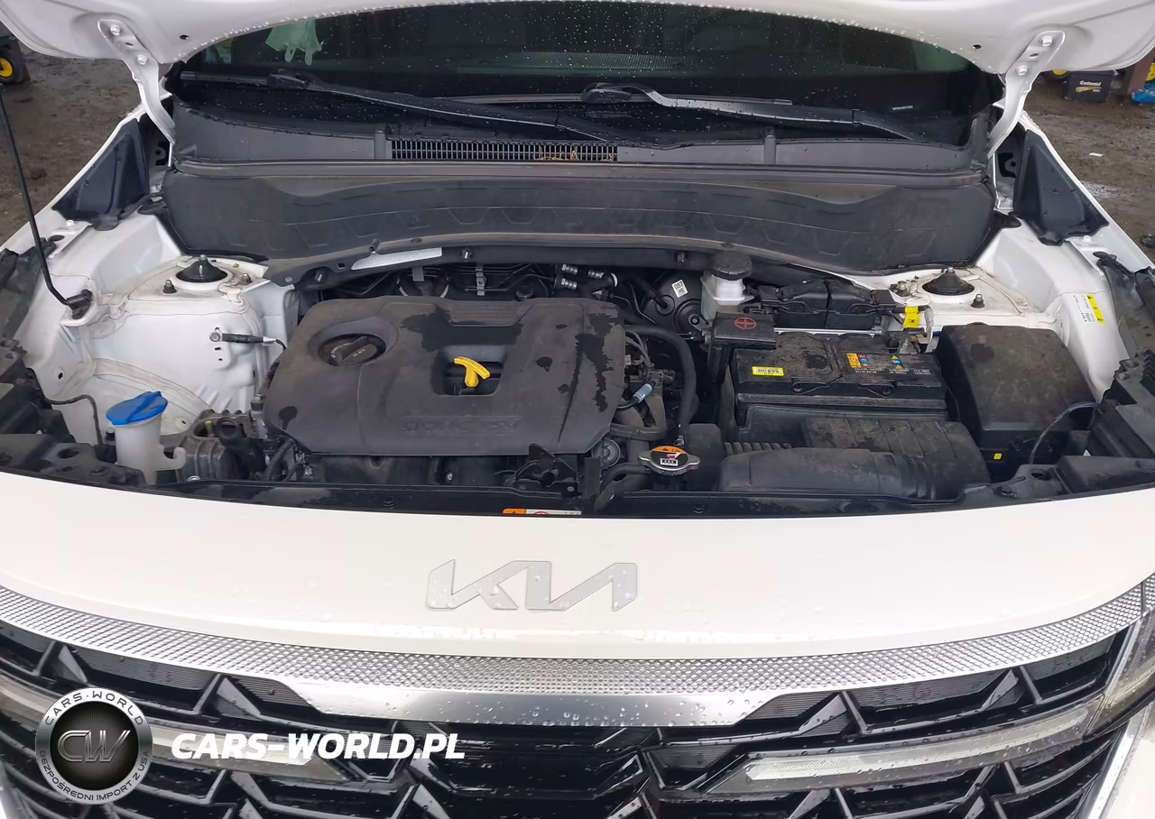 2024 Kia Seltos Ex VIN:KNDER2AA5R7579957 - 9