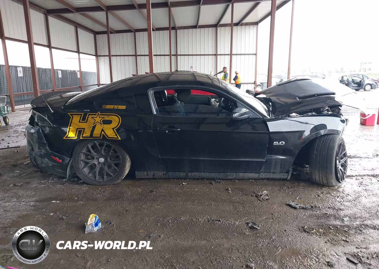 2014 Ford Mustang Gt VIN:1ZVBP8CF9E5313445 - 13