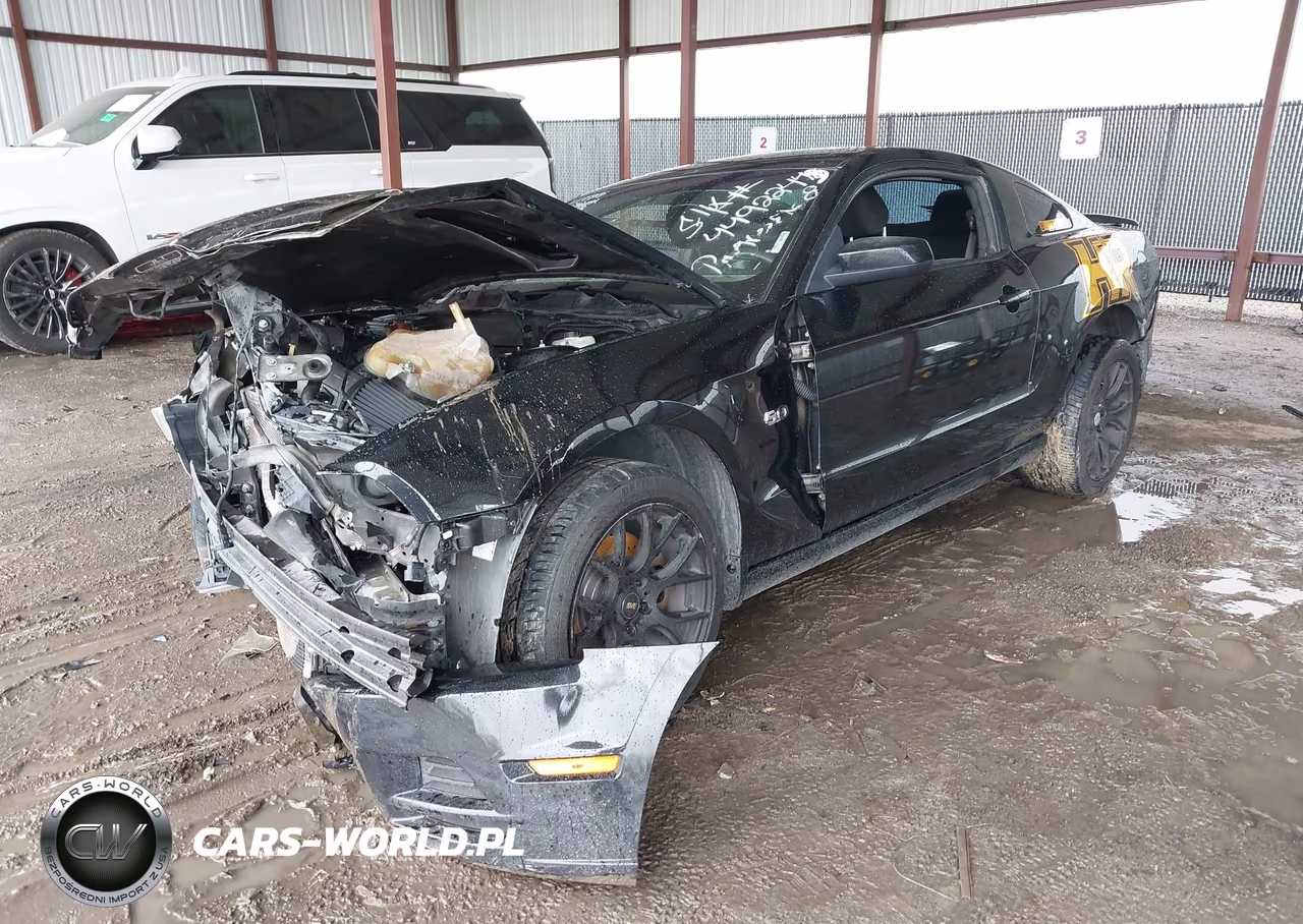 2014 Ford Mustang Gt VIN:1ZVBP8CF9E5313445 - 2