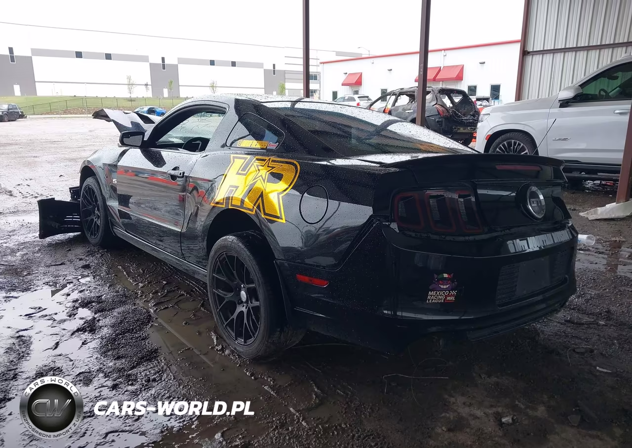 2014 Ford Mustang Gt VIN:1ZVBP8CF9E5313445 - 3
