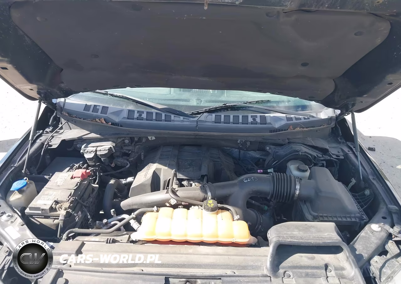 2016 Ford F-150 Xl VIN:1FTEX1EP3GFA48788 - 10