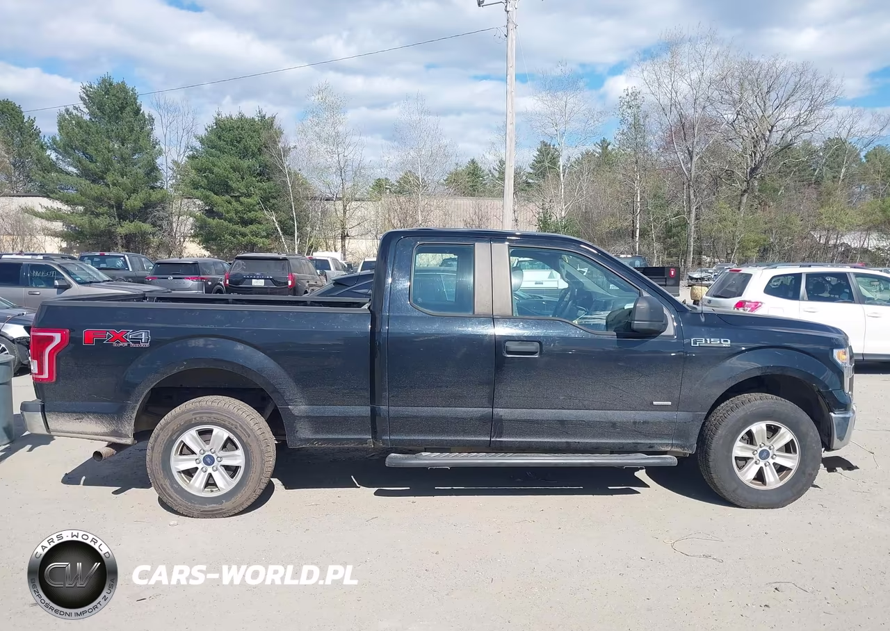2016 Ford F-150 Xl VIN:1FTEX1EP3GFA48788 - 13
