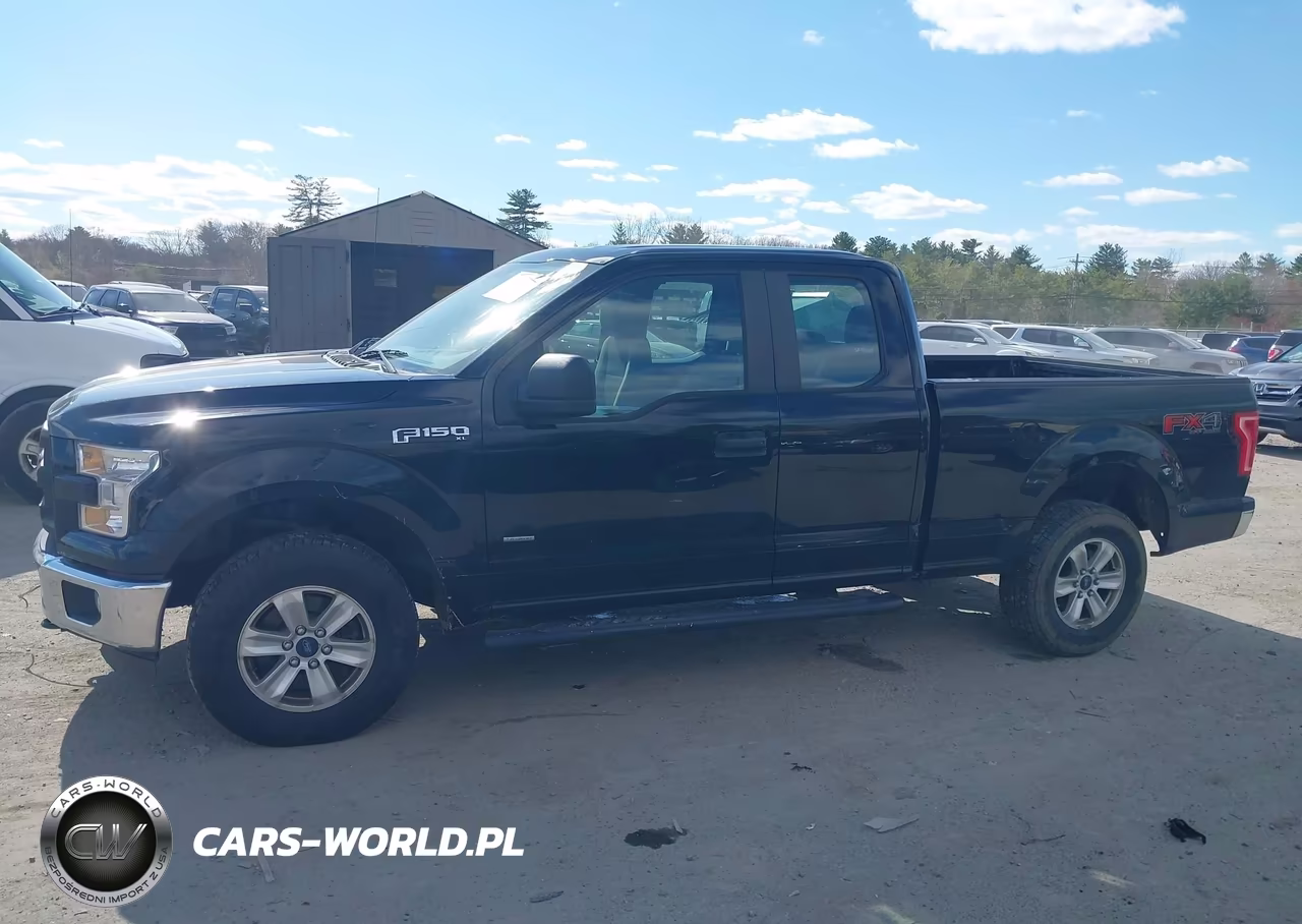 2016 Ford F-150 Xl VIN:1FTEX1EP3GFA48788 - 14