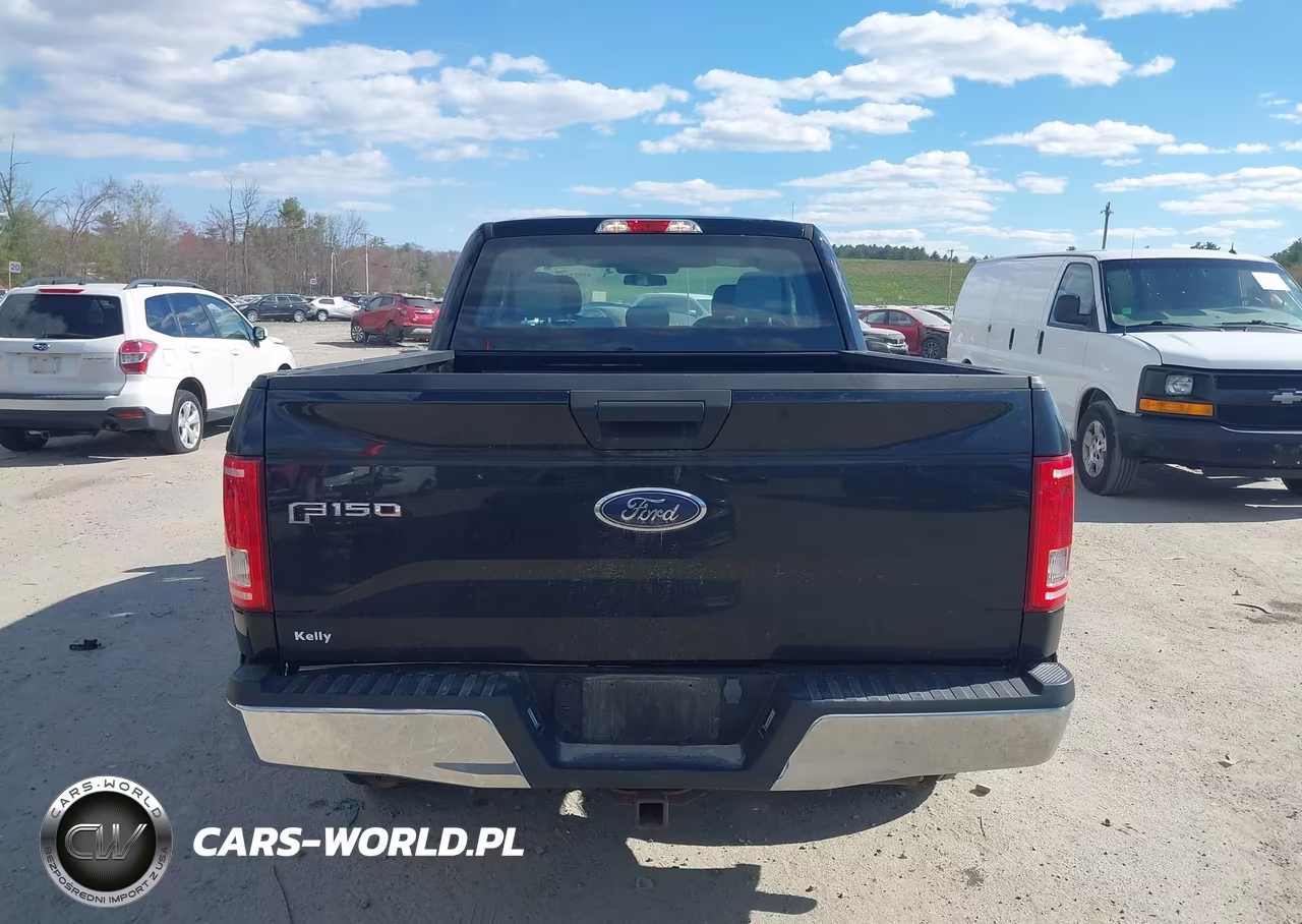 2016 Ford F-150 Xl VIN:1FTEX1EP3GFA48788 - 16